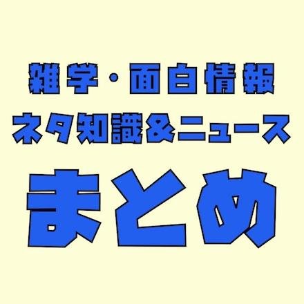 ニートがお届けする面白まとめ ネタ情報 8kainohayashi Twitter