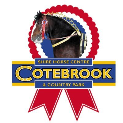 CotebrookShires Profile Picture