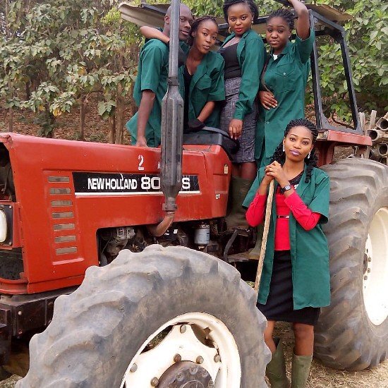 IITA Youth Agrip Profile