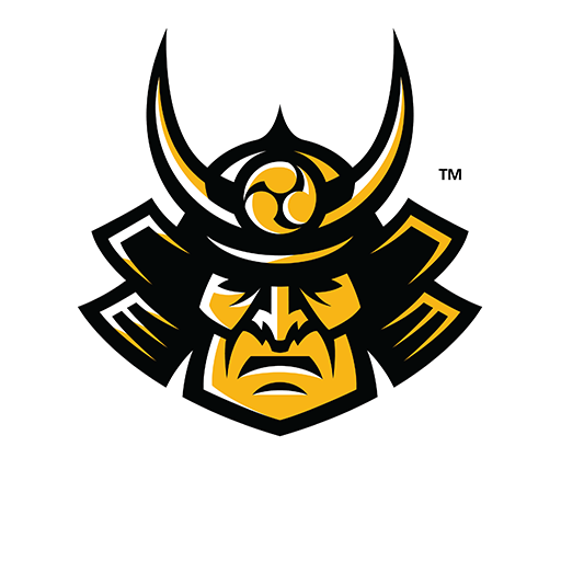 Roninesports's profile picture. We are Ronin, esports multigaming organization, currently playing CS:GO and Paladins. Contact us at: info@ronin.gg