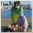 soraj57's profile image