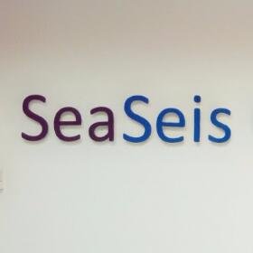 SeaSeis is a Geo-Market leader in providing Geo-Science and Engineering Services to companies in the Oil and Gas sector in Nigeria and the Gulf of Guinea.