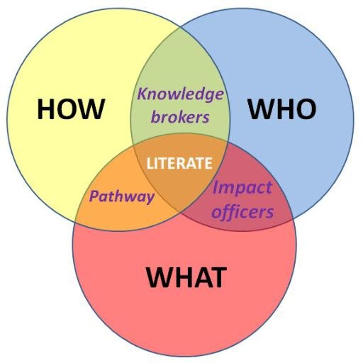 Impact Literacy Profile