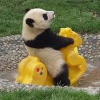 Don Panda Farkiyare (@farkiyare) Twitter profile photo