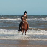 Sarah Shephard (@sarahlshephard) 's Twitter Profile Photo Sarah Shephard (@sarahlshephard) 's Twitter Profile Photo