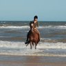 sarahlshephard's profile picture. Founder of Bright Bay Consulting, equestrian and vet PR specialists. Rider, reader, Red Poll keeper, diver, skier, pedant, glutton and failed terrier trainer.