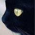 chil ❣ kat (@chilkathaiku) Twitter profile photo chil ❣ kat (@chilkathaiku) Twitter profile photo