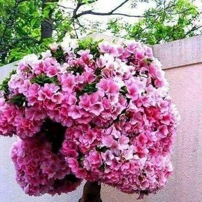 OurikaSud's profile picture. 