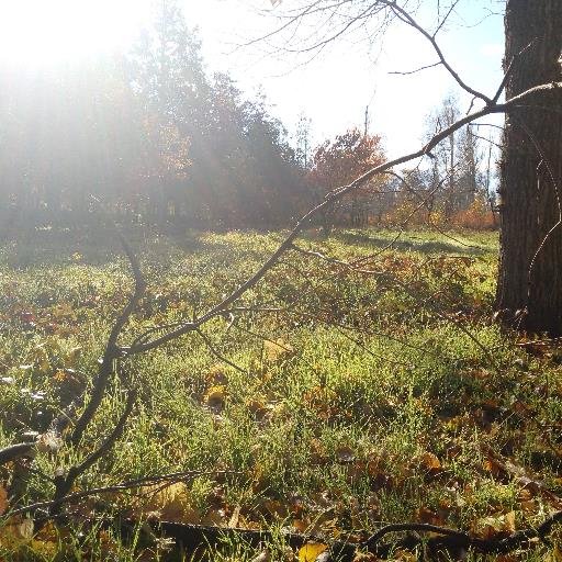 GuitArph's profile picture. Архитектура и дизайн. Фотография. Лыжный и велосипедный спорт. Мои интересы)