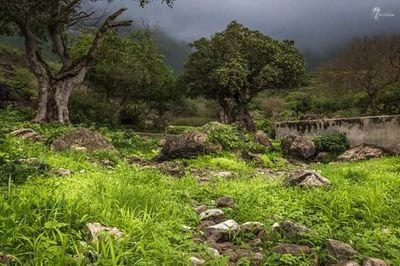 GoUcx6MpJk46Xub's profile picture. ‏ابحث عن وطن 
اسكنه مثلما يسكن قلبي 
#عدن مدينة السلام