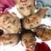 @ section 23 tdes (@tdeselementary) Twitter profile photo @ section 23 tdes (@tdeselementary) Twitter profile photo
