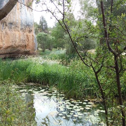 puebloparavivir's profile picture. ¿Quieres vivir y trabajar en un pueblo? Queremos ayudarte a conocer los pueblos del entorno de Astorga y todas las posibilidades de empleo que ofrecen.