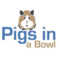 Pigs in a Bowl(@pigsinabowl) 's Twitter Profileg