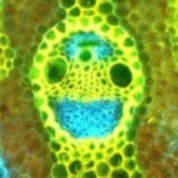 Nadia Radzman (@nadradz) 's Twitter Profile