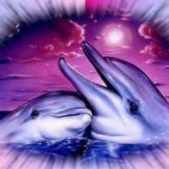 SalomeMary's profile picture. Estoy interesado en la música, deportes, etc.