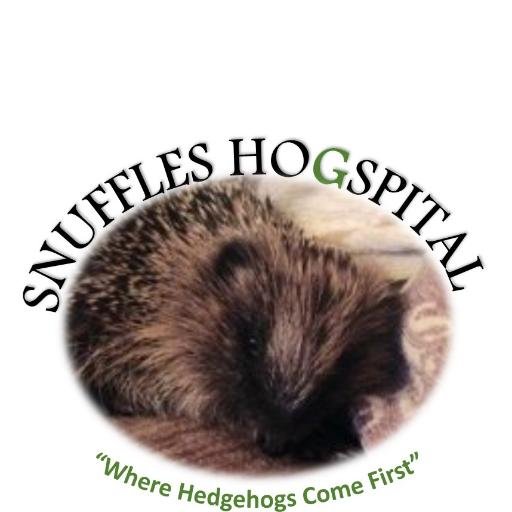 This page is to offer advice and support and for people to share sightings or photos of local Hedgehogs & also get care for Hedgehogs that need help.