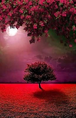 zeYtDzSDFC2JVpy's profile picture. 