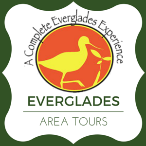 Walk, kayak, or boat your way into the most exclusive educational & ecofriendly tours of the #Everglades! #LoveFL https://t.co/5RknXc2zB1