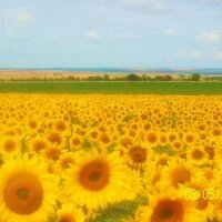 Western Slope News (@westernslope) 's Twitter Profile
