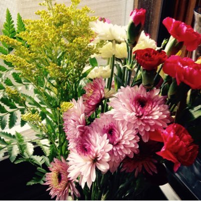 mommie_Jen's profile picture. Here mainly for the reading, not so much my tweeting.