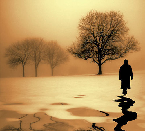 x490x's profile picture. Heaven for the weather,Hell for the company..