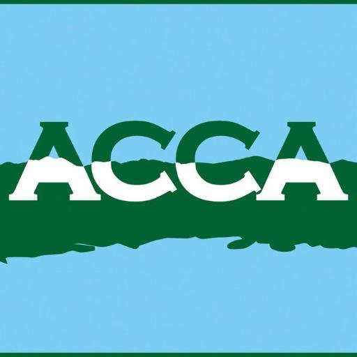 Group of volunteers and non-profit professionals dedicated to serving the cultural, artistic, historical and museum communities of the Adirondack Coast of NY