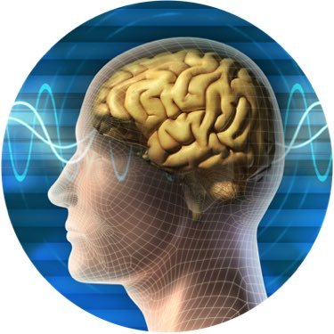 Neurofeedback Therapy provides a drugless approach to address neurologically based disorders. Serving the DFW area and all of North Texas.