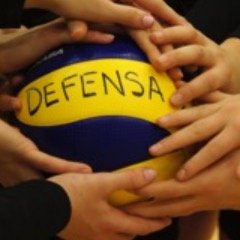 Defensa aims to make a significant contribution to the growth of volleyball in Canada.