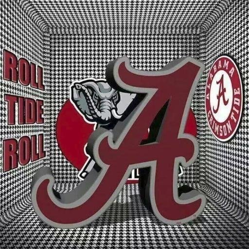 love nascar,bama football