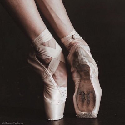 reasonstodancee's profile picture. my attitude would be tutu much for you (pun always intended)