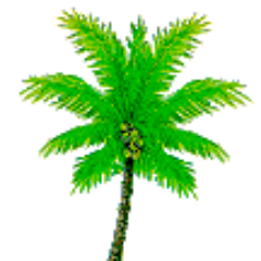 HolidayToday99's profile picture. Book your vacation now on Holiday Today!