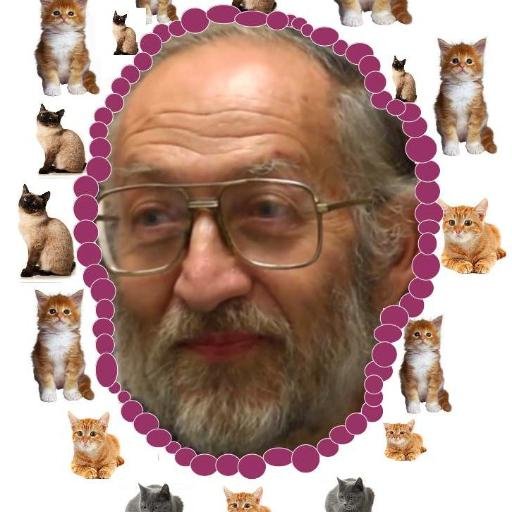 Amante del cine. Amante de los gatos.