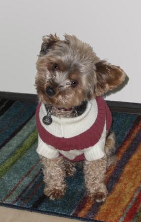 mconnor77's profile picture. 