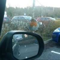 Wendy Pressdee BEM (@wendypressdee) 's Twitter Profile Photo Wendy Pressdee BEM (@wendypressdee) 's Twitter Profile Photo