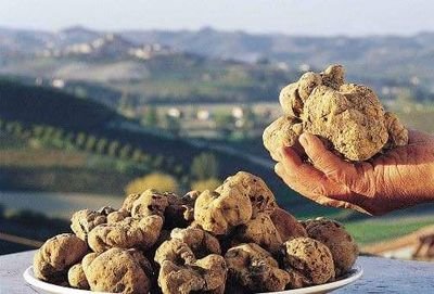 Promuoviamo e valorizziamo il patrimonio enogastronomico della Valmarecchia, zona nell'entroterra riminese