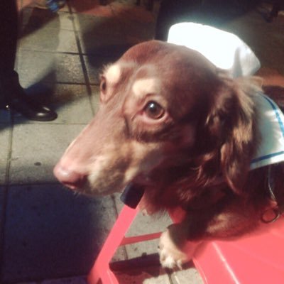 xHIKARUx_0909's profile picture. 