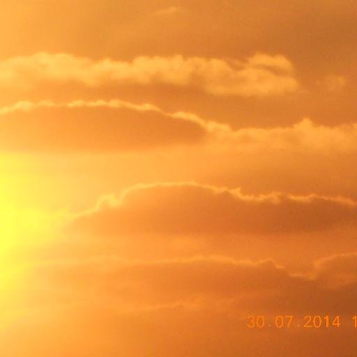 elmnshwy1's profile picture. 