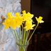 Cwm Chwefru Cottages (@cwmchwefru) Twitter profile photo Cwm Chwefru Cottages (@cwmchwefru) Twitter profile photo