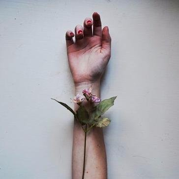 _epicrisis's profile picture. 