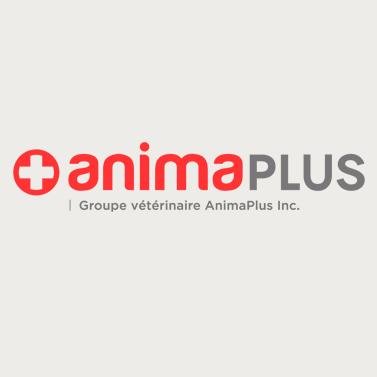 Le Groupe vétérinaire AnimaPlus est un regroupement de 11 établissements vétérinaires. Notre mission est d’aimer, soigner et guérir votre animal. ❤️🐶🐱