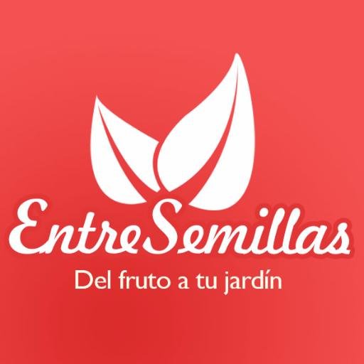 Una increíble colección de plantas 🌿 y semillas 🌰ㅤㅤㅤㅤㅤㅤㅤㅤㅤㅤㅤㅤ
📦➡🌍 Envíos a todo el mundo. Directo del fruto a tu jardín.ㅤㅤㅤㅤㅤ
💚 Amamos la huerta y el bosque 🌷