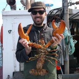 Biologist - @IFREMER - UMR241 - SECOPOL
Genomics | Transcriptomics | DNA sequencing | Genome architecture | marine species | shellfish addict