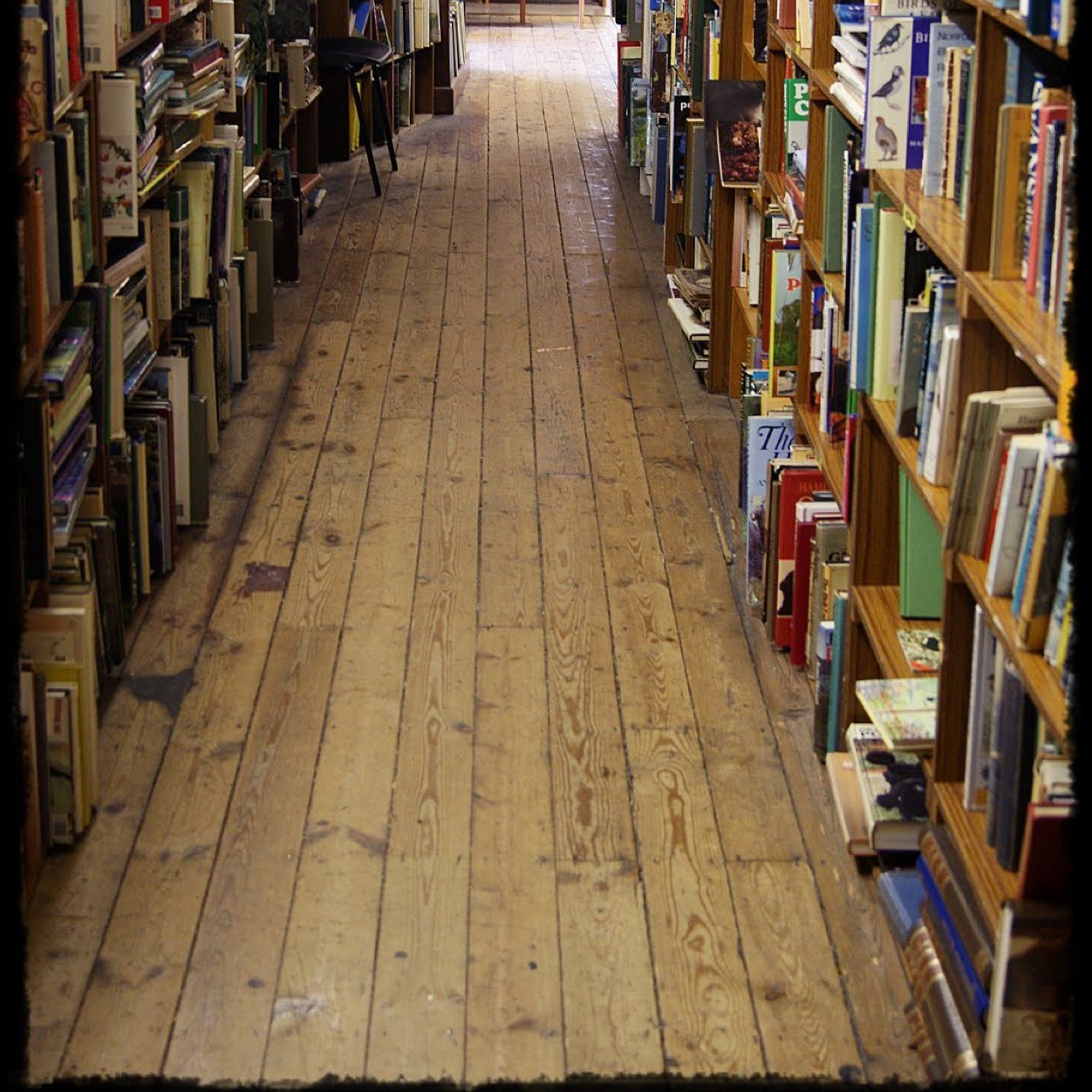 DustyBookshop's profile picture. I breathe old book smell.