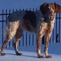 Rhonda Powell (@aprpowell) 's Twitter Profile
