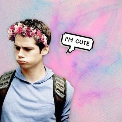 levina_sofia's profile picture. 