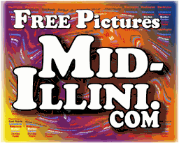 MID_ILLINI's profile picture. SMILE HUNTER :-)