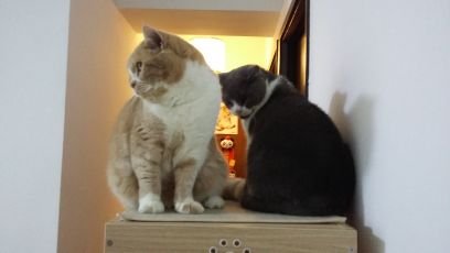 HuUzma04's profile picture. Indonesian in Hong Kong SAR, China.