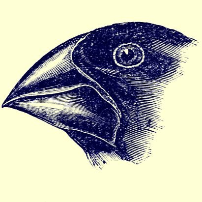 srsskeptic's profile picture. Skeptic tweets for your pleasure. #Science and #truth are not opinion, they're fact. #GoodWithoutGod