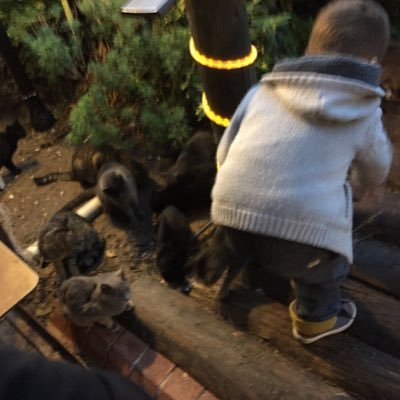 LawRadenim's profile picture. 