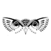 Nocturnal Promotions (@nocturnalgigs) Twitter profile photo Nocturnal Promotions (@nocturnalgigs) Twitter profile photo